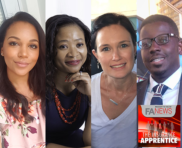 Collage of the four Hollardites in the top tier