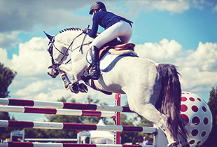 An equestrian covered by Hollard horse insuranceon her horse jumping over a fence