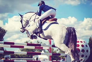 An equestrian on her horse, covered by Hollard Equipage Loss of Use