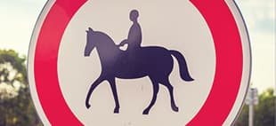 A riding her horse, covered by Hollard Equipage Public Liability Cover