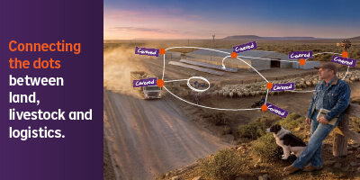 Agriculture Insurance banner with connecting dots showing coverage across land, livestock and logistics.