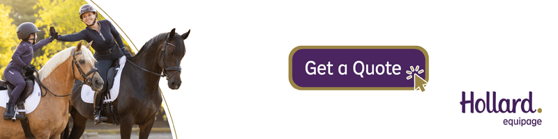 Hollard Equipage banner: Five-star equine insurance, from mane to tail. Only the best will do.
